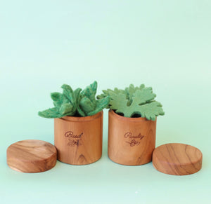 Juni Moon Heirloom Herb pots - kitchen play